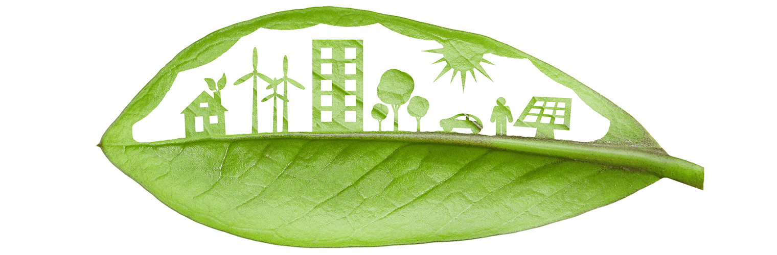 Header single achtergrond afbeelding